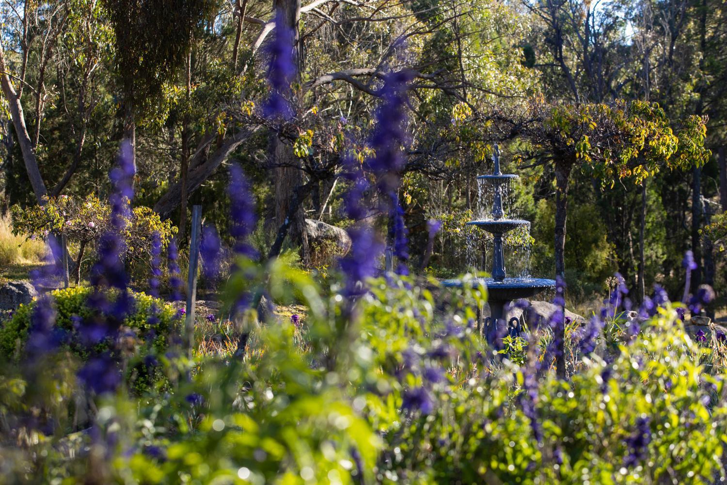 Girraween Country Inn Ballandean Exteriör bild
